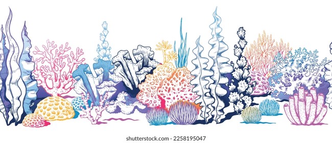 Coral reef pattern, sea water. Tropical border, red ocean animals habitat, color marine seaweed, exotic summer undersea background. Aquarium elements. Vector seamless illustration