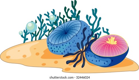 coral reef scene