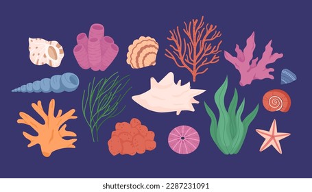 Unterwasserkorallenriff und Muschelsammlung auf dunklem Hintergrund. Meeresuntersee exotische Pflanzen und Weichtiere. Unter Wasser Flora und Fauna. Farbige flache Vektorgrafik