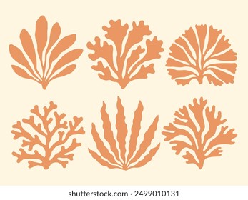 Coral reef and seaweed silhouette collection. Underwater sea life summer holiday cutouts block print. Peach orange seaweed, algae, corals nautical collage design element set, hand drawn illustrations.