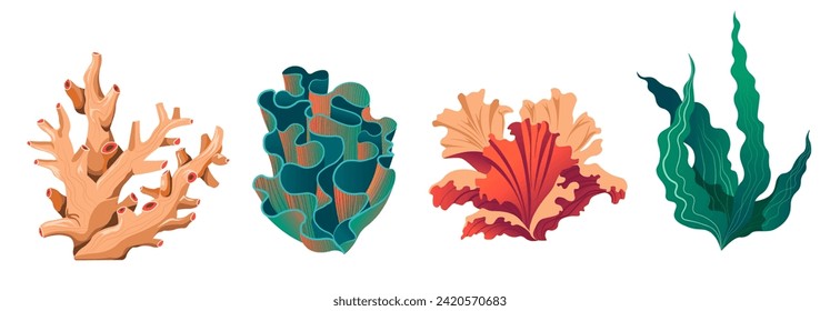 Coral reef or seaweeds. Aquarium and undersea algae water life. Underwater species and marine creatures, sea or ocean flora and fauna. Botany and decoration for oceanarium. Vector in flat style