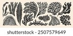 Coral reef or seaweeds vector underwater plant icons. Naive style leaves, algae or fronds. Hand drawn vector ink illustration. Modern style organic corals, aesthetic underwater plants and branches.