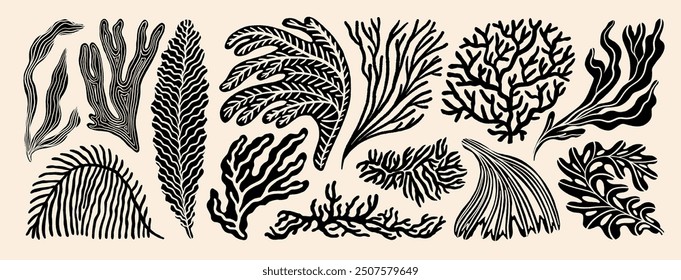 Coral reef or seaweeds vector underwater plant icons. Naive style leaves, algae or fronds. Hand drawn vector ink illustration. Modern style organic corals, aesthetic underwater plants and branches.