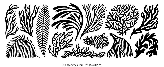 Coral reef or seaweeds vector underwater plant icons. Naive style leaves, algae or fronds. Hand drawn vector ink illustration. Modern style organic corals, aesthetic underwater plants and branches.