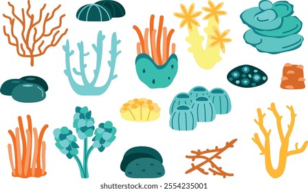 Coral reef set. Aquatic plant, algae, tropical seabed elements vector hand drawn set.