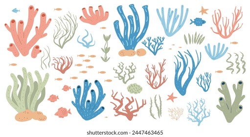 Coral reef set isolated on white background. Sea underwater elements. Vector flat illustration.