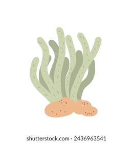 Coral reef with stone isolated on white background. Sea underwater elements. Vector flat illustration.