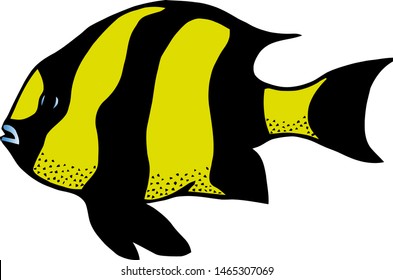 Coral reef tropical fish vector illustration. Vector sea fish isolated on white background. Aquarium fish icon. Tropical fish logo or sign.