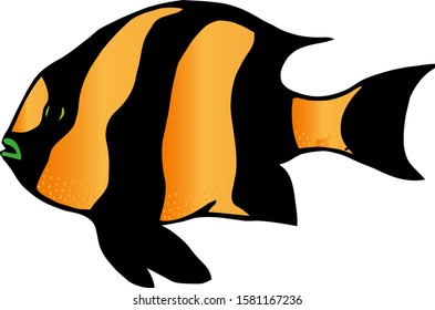 Coral reef tropical fish vector illustration. Vector sea fish isolated on white background. Aquarium fish icon. Tropical logo or fish sign. 