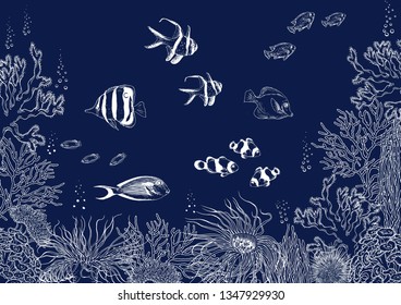 Coral reef with tropical fishes, corals and seaweed. Underwater background. Vector illustration.