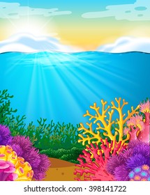 Coral reef under the sea illustration