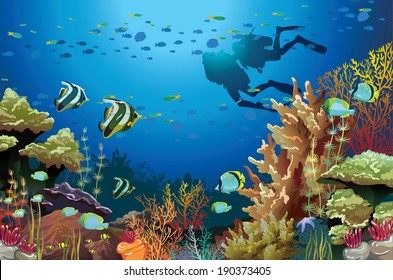 Coral reef with underwater creatures and two scuba divers.