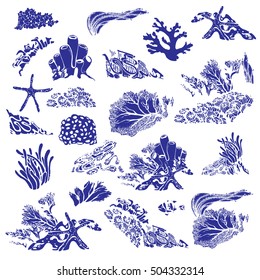 Coral reef and underwater flora. Corals, polyps, seaweed and deep water plants. Vector Illustration