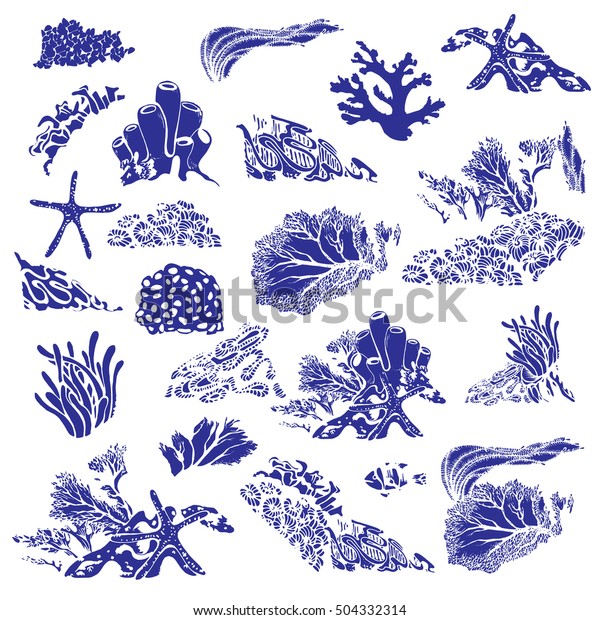 珊瑚礁と水中植物 サンゴ ポリプ 海藻 深海草 ベクターイラスト のベクター画像素材 ロイヤリティフリー