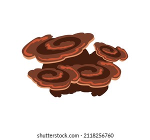coral reef underwater icon flat