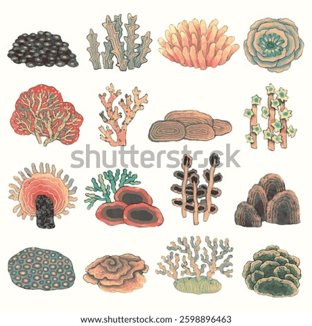 Coral reef. underwater nature vector illustration. watercolor painting.