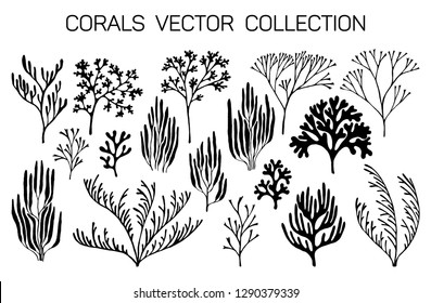 12,463 Black Sea Coral Stock Vectors, Images & Vector Art | Shutterstock