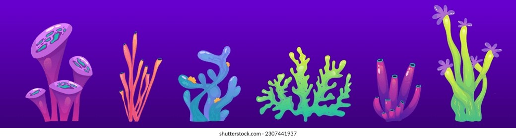 Coral reef underwater set with algae. Seaweed ocean plant. Coral set undersea fauna. Cartoon Reef isolated. Cartoon Vector design.