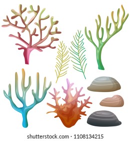 coral reef vector