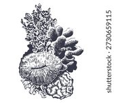 Coral reef vertical ink vector illustration. Realistic and detailed drawing of sea bottom nature for marine and nautical designs. Monochrome coastal hand drawn clipart. Engraved black and white sketch