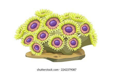 Coral reef yellow color flower form isolated on white background. Underwater flora sea plant. Realistic art clipart. Aquarium nature seaweed. Oceanic and sea image for design logo. Vector illustration