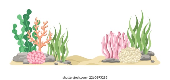 Coral reefs with algae, seaweed and rocks vector cartoon illustration