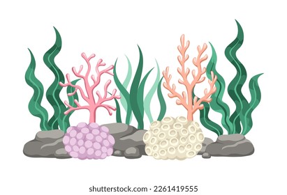 Coral reefs with algae, seaweed and rocks vector cartoon illustration