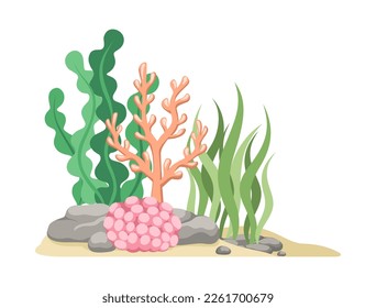 Coral reefs with algae, seaweed and rocks vector cartoon illustration