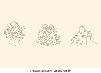 Coral reefs line art decoration 