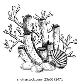 Coral Reefs with seashell and seabed. Vector hand drawn illustration of sea floor on isolated background. Underwater line art composition with seaweed and stones. Drawing painted by black inks.