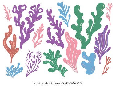 coral reefs and seaweed doodle design element