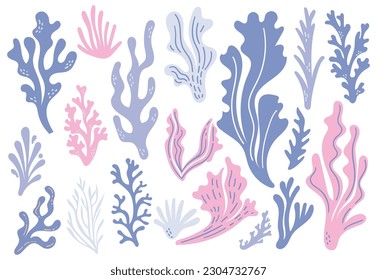 coral reefs and seaweed doodle design element