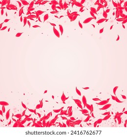 Coral Sakura Vector Pink Background. Blur Blossom Frame. Carmine Petal Falling Banner. Scarlet Beauty Lotus Texture.