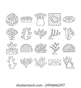 Coral Sea Aquatic Reef Collection Icons Set Vector. Natural Marine Water Coral Flora, Ocean Underwater Nature Plant Seaweed Algae Black Contour Illustrations