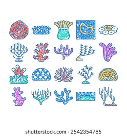 coral mar aquático recife doodle ícones definir vetor. esboço linha arte água marinha natural flora coral, oceano subaquático natureza planta algas algas marinhas cor ilustrações