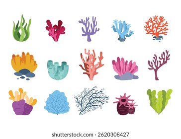 The coral sea flat vector illustration set