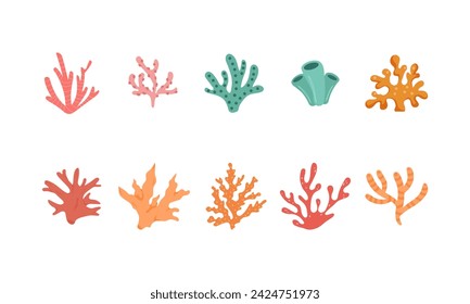 Coral Sea Illustration Element Set