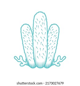 coral sea life icon isolated