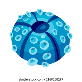 Coral Sea Nautical Element. Vector illustration