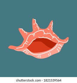 Coral seashell. Inhabitant of the tropical seabed clip art. Stock vector hand drawn flat illustration isolated on blue background.