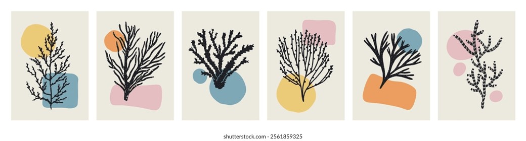 Coral and seaweed branches, modern wall art, botanical interior posters set. Abstract marine cards with sea and ocean plants, exotic nature and organic geometric shapes. Flat vector illustrations