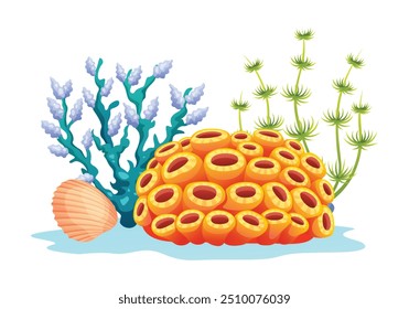 Coral com algas e conchas, design de habitat oceânico. Ilustração de desenho animado vetorial