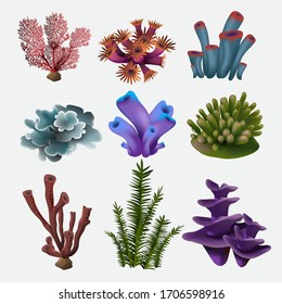 Coral   seaweed  Underwater flora  sea water seaweeds aquarium  kelp   corals  Ocean plants vector color set  Vector illustration