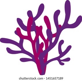 Coral seaweed underwater leaf vector illustration flora 