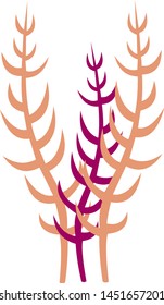 Coral seaweed underwater leaf vector illustration flora 