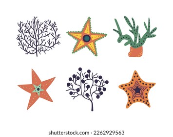 Coral, Seaweeds and Starfish as Aquatic Marine Plant and Fauna from Ocean Bottom Vector Set