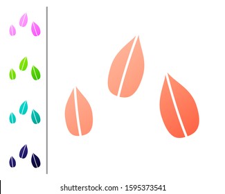 Coral Sesame seeds icon isolated on white background. Set color icons. Vector Illustration