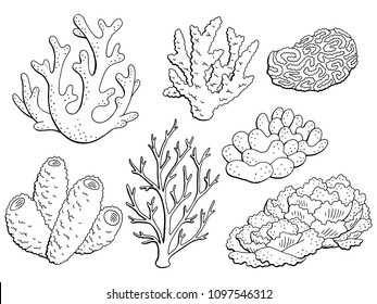 Coral set graphic black white isolated sketch illustration vector