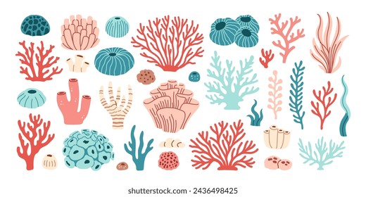 Coral set. Ocean plants, underwater flora, seaweed. Aquatic plant, algae, tropical seabed elements vector set