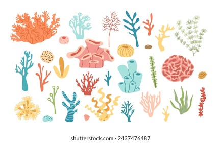 Coral set. Ocean plants, underwater flora, seaweed. Aquatic plant, algae, sponges ,tropical seabed elements vector set isolate on white ,cartoon style for your design.